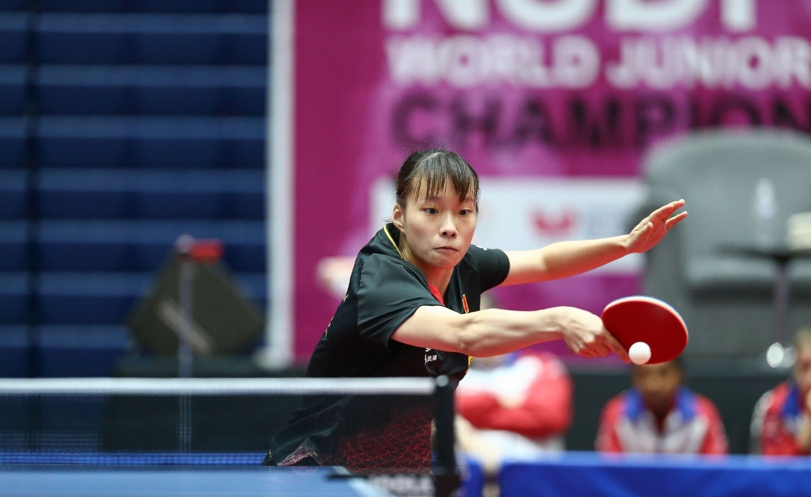 总价值高达 总价值高达